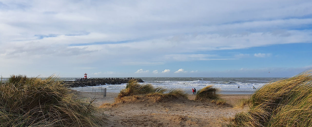 Leeg strand