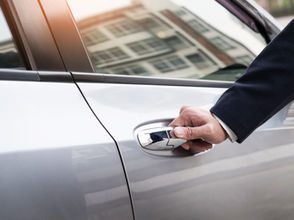 NEW! Top-Notch Taxi Service in Orlando, Florida