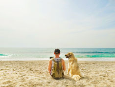 THE BEST DOG-FRIENDLY BEACHES TO VISIT THIS SUMMER