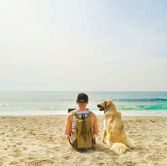 At Beach With Dog