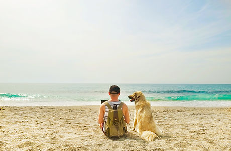 En la playa con perro