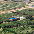 Agricultural Farms