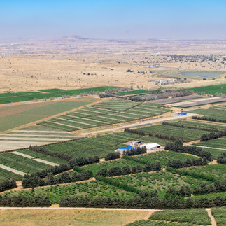 Aerial view of green fields in the Jezreel Valley seen from Mount Gilboa.