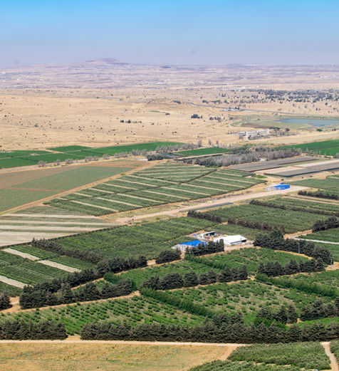 Profissional analisando mapa georreferenciado com áreas de reserva legal e APP para preenchimento do CAR.