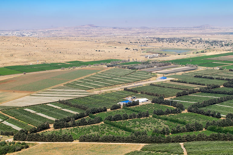 Aerial View Of Farmland