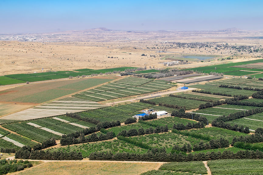 Aerial View Of Farmland