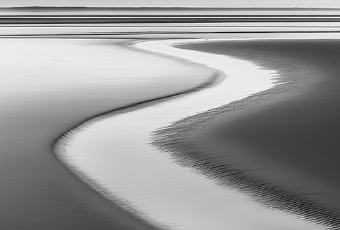 Black and White Shoreline