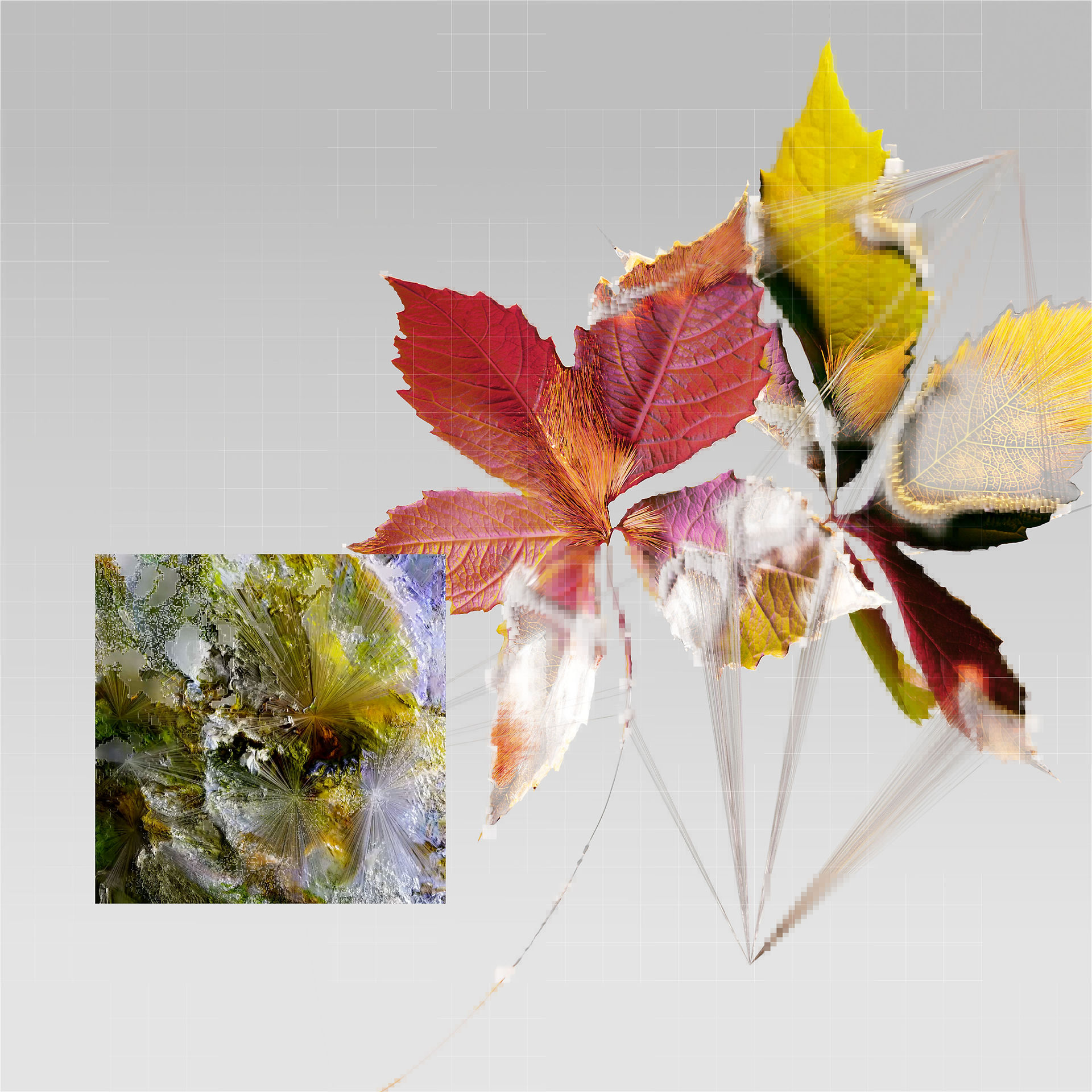 Tree leaves and leaf patterns in green, orange, red, yellow with shadows and lights