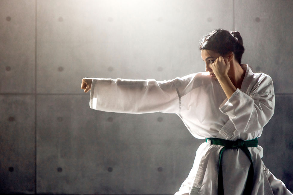 Martial Arts Practice