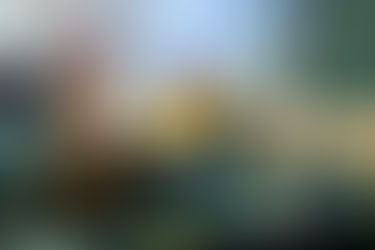 The Evolving Role of Executive Assistants in the Digital Age