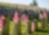 Memorial Cemetery Flags