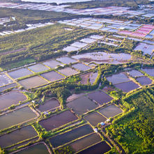 Şile Arsa Davaları Avukatı – İzale-i Şuyu | Av. Ozan Aydanoğlu