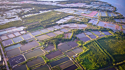 A view from above