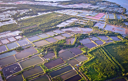 A view from above