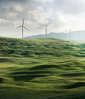 वनस्पती जीवशास्त्रज्ञ
