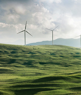 निसर्गातील ग्लिच बटरफ्लाय