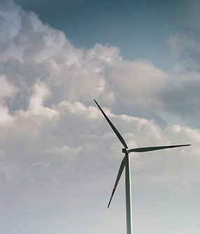 शैक्षणिक बागकाम