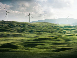 The Role of Ethanol in the Global Energy Mix
