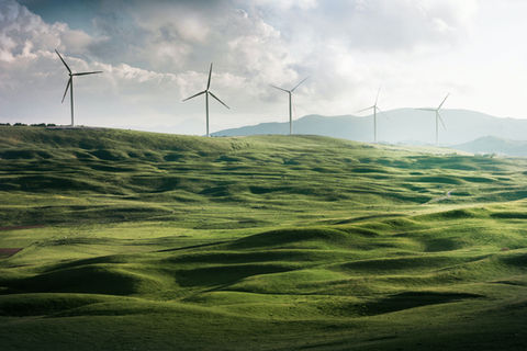 EcoVibe