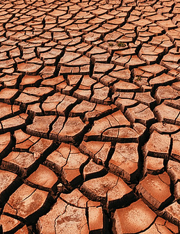 Cracked Earth