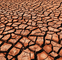 Cracked Earth