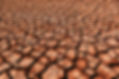 Tierra agrietada