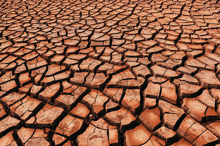 Sol désertique craquelé