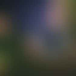 Diet and Breast Cancer