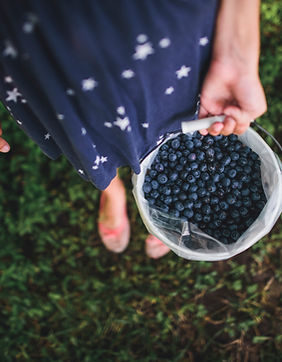 Fresh Blueberries