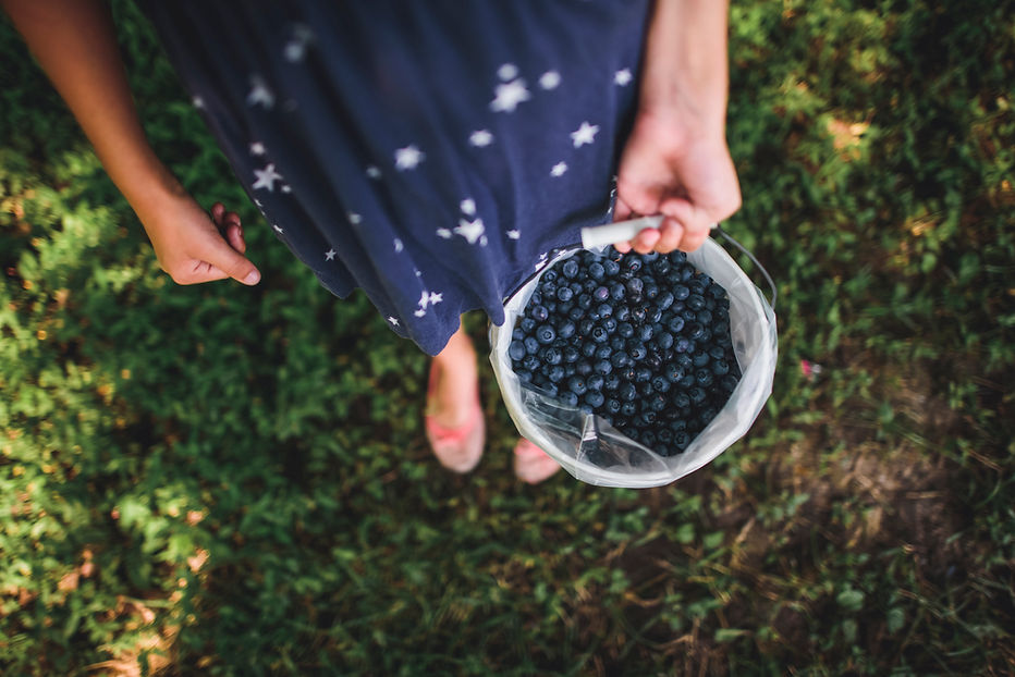 Fresh Blueberries