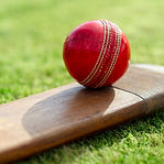 Cricket Bat and Ball