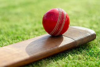 Cricket Bat and Ball