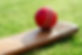 Cricket Bat And Ball