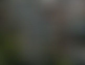 Despesas condominiais vs. alienação fiduciária: riscos e consequências para o mercado imobiliário e empresarial