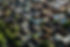 Residential Neighborhood