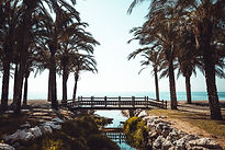 Puente en el agua