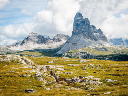 Les nuisibles en Haute-Savoie et à Annecy : espèces, risques et facteurs locaux