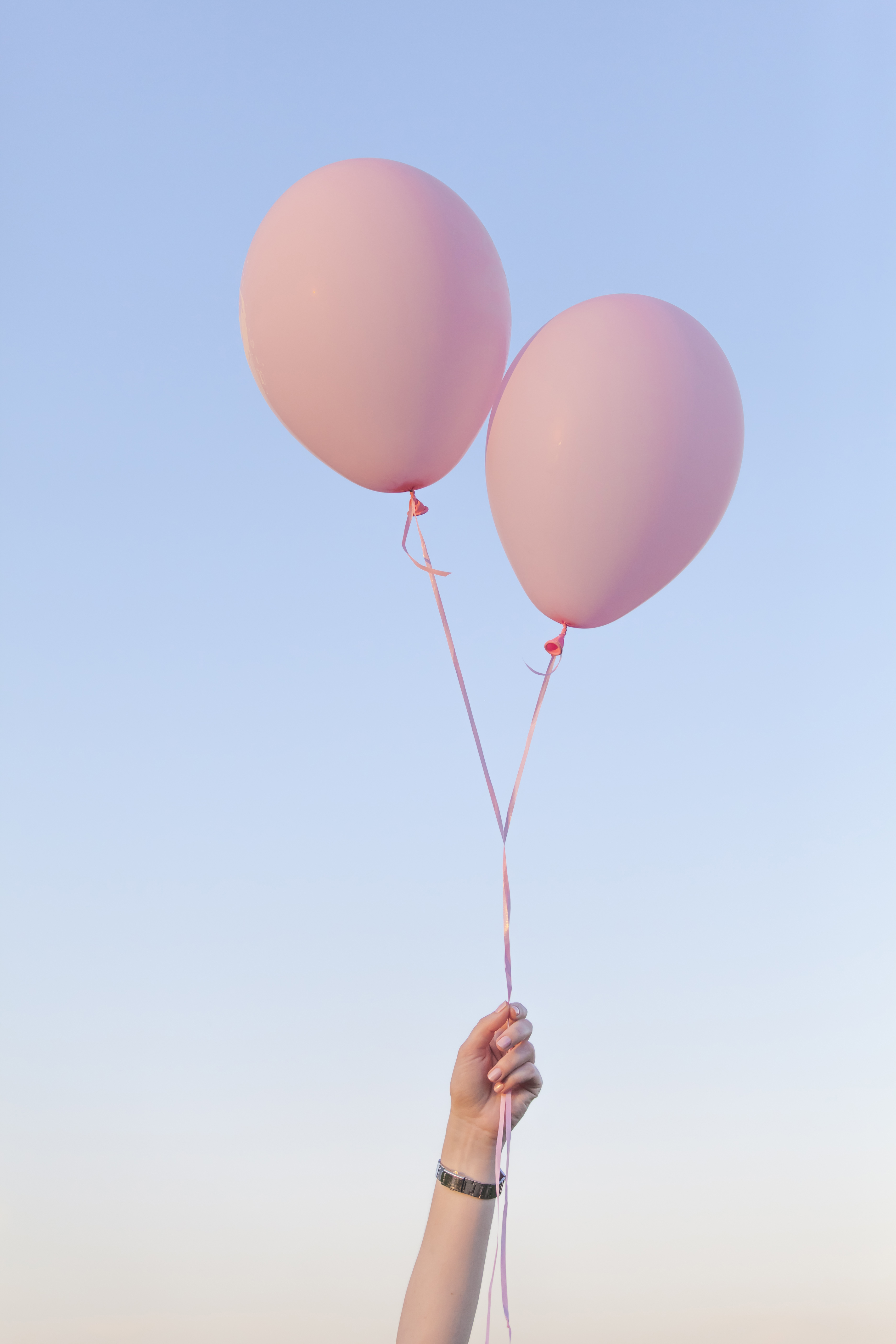 Pink Balloons Held