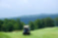 Golf Cart