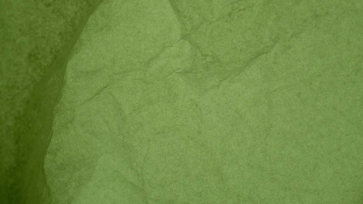 Leaf Close Up