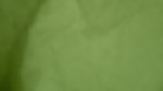 Leaf Close Up