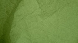 Green Textured Background