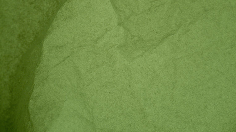 Leaf Close Up