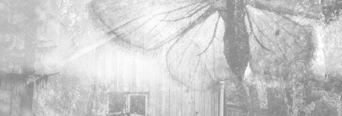 Butterfly Collage