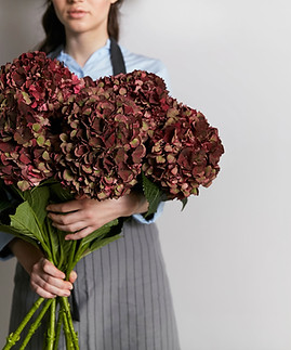 Bouquet of Red Hydrangea