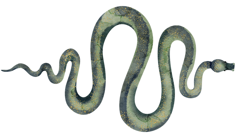 Ilustración de figura serpentina