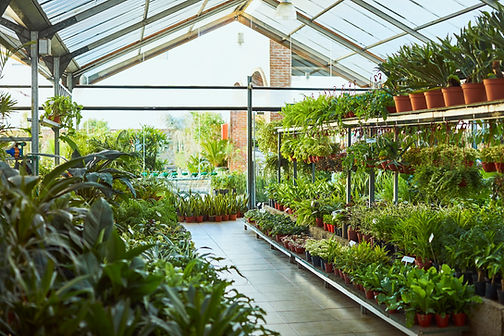 Variety of plants growing in garden center. Large group of pots arranged in plant nursery.
