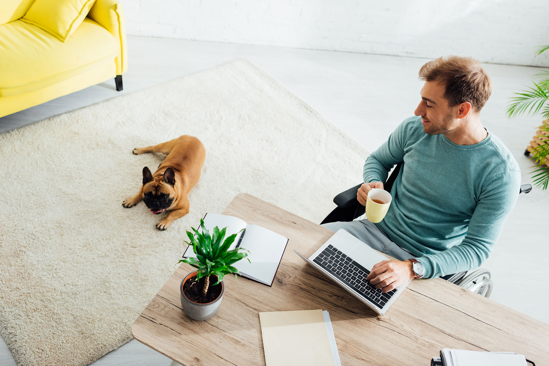 Travail de la maison avec un chien