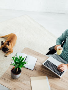 Como Trabalhar Remotamente de Forma Eficiente: Produtividade, Foco e Qualidade de Vida