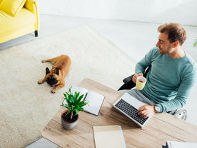 The dog really chewed on his work...